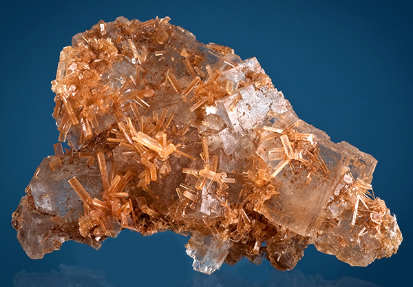 Halite-Gypsum-Poland-95mm_1405.jpg