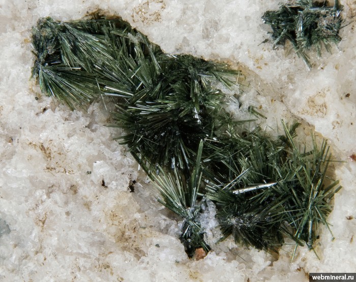 ���������� �������� ������, ������. �������� � 24 (����������).