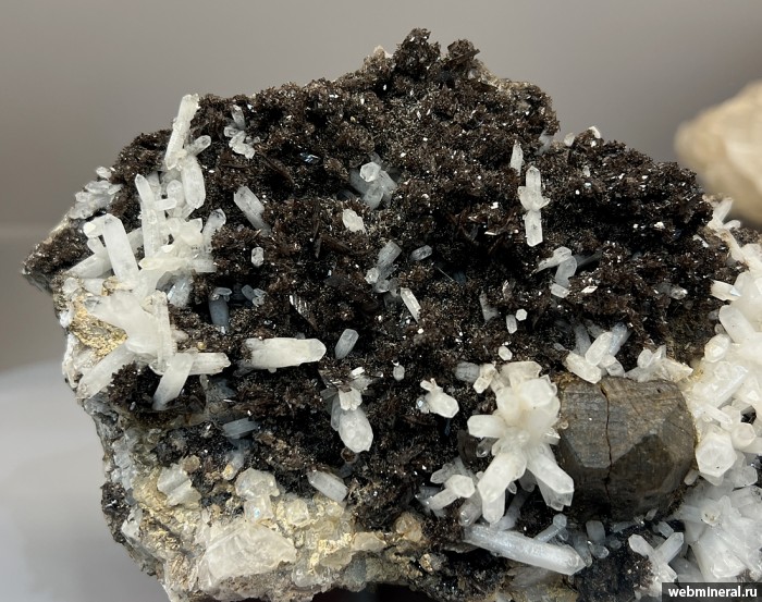 ���������� �������� ��������, �����, �������-(Mn). ������������ ������.