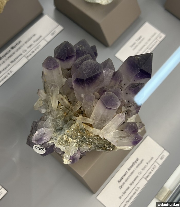 ���������� �������� ����� ����. (�������). ������ �������������.