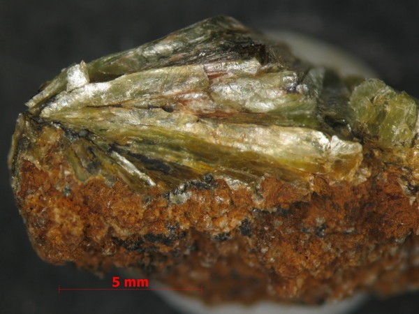 Фотография минерала Судоит. Берёзовское (Au) месторождение (рудное поле).