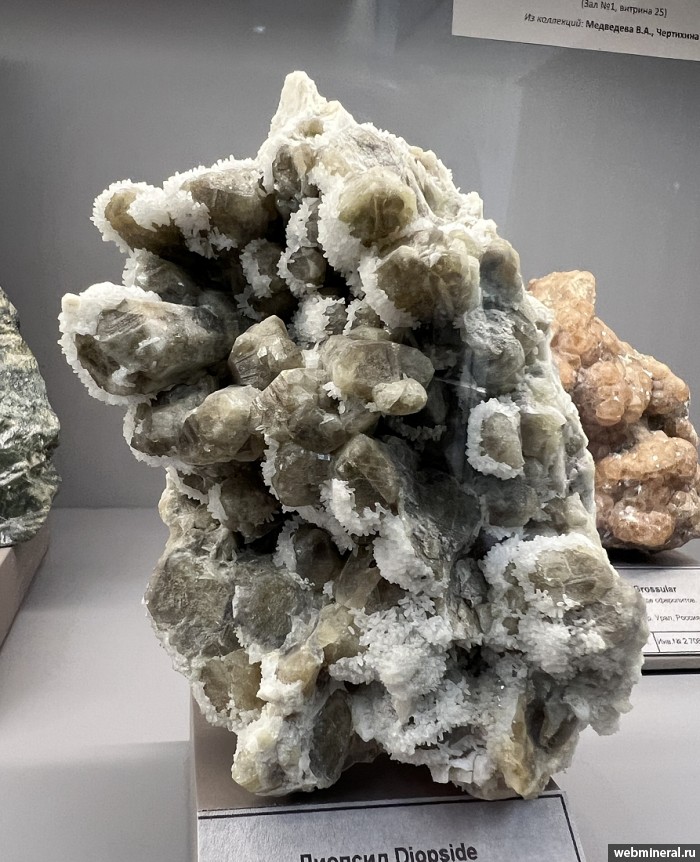 ���������� �������� �������, ��������. ����������� �������������.