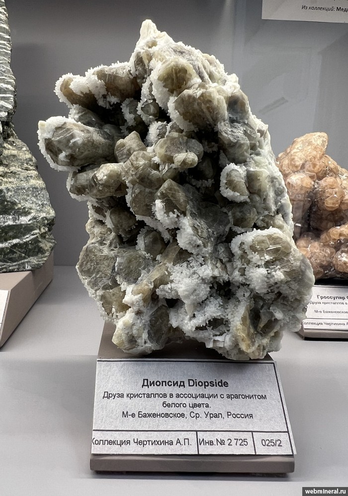 ���������� �������� �������, ��������. ����������� �������������.