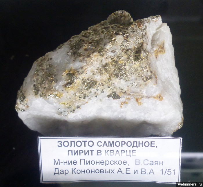 Фотография минерала Золото, Пирит, Кварц. Пионерское (Au) месторождение.