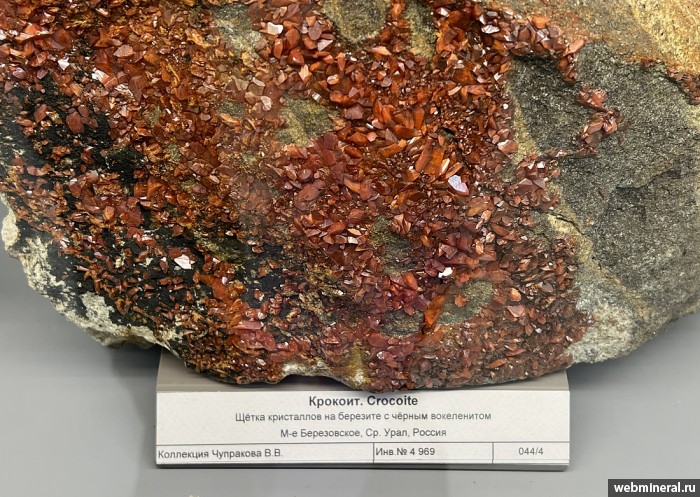 ���������� �������� �������, ���������. ����������� ����.