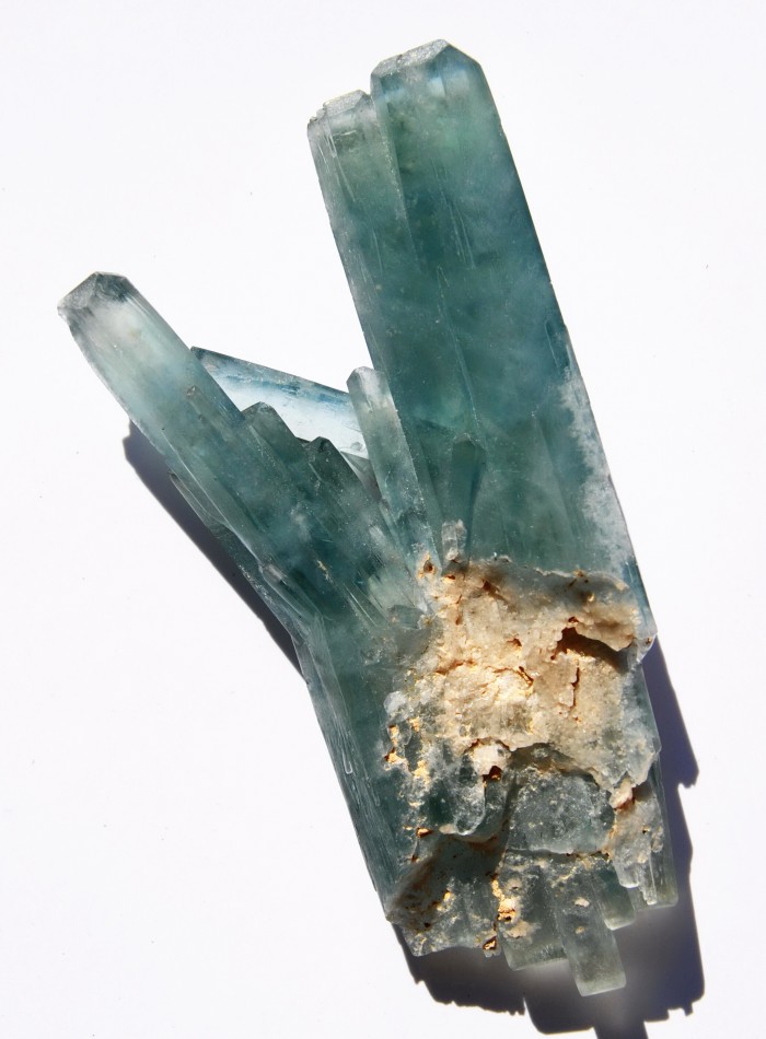   . Stoneham, Weld Co., Colorado, USA ().