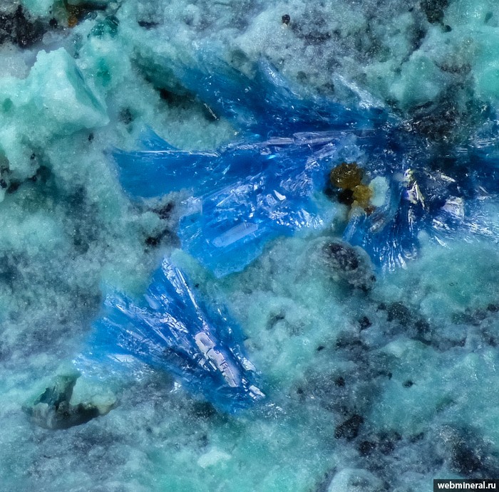 ���������� �������� �������. ������� ����.