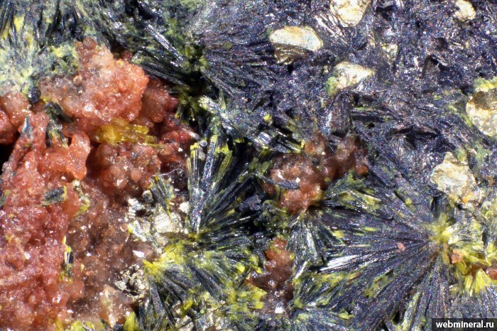   , , . Krunkelbach Valley Uranium deposit, 3km NW of Menzenschwand, Black Forest (Schwarzwald), Baden-W.