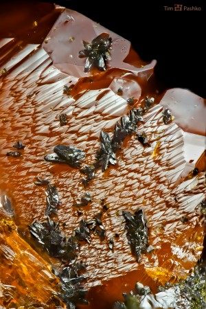 ��������, �������. ����������� ����. �������� � �������������. webmineral.ru