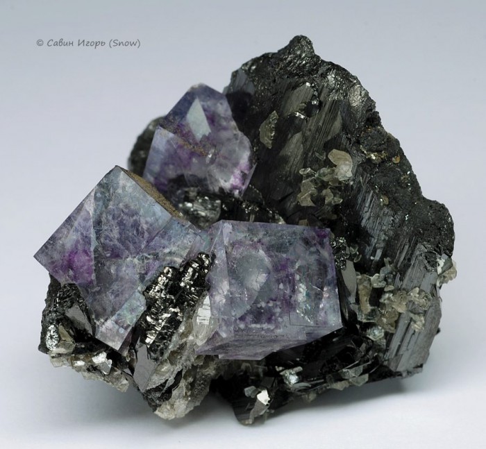 ���������� �������� �������, ��������, ����������. Yaogangxian, Hunan, China (�����).