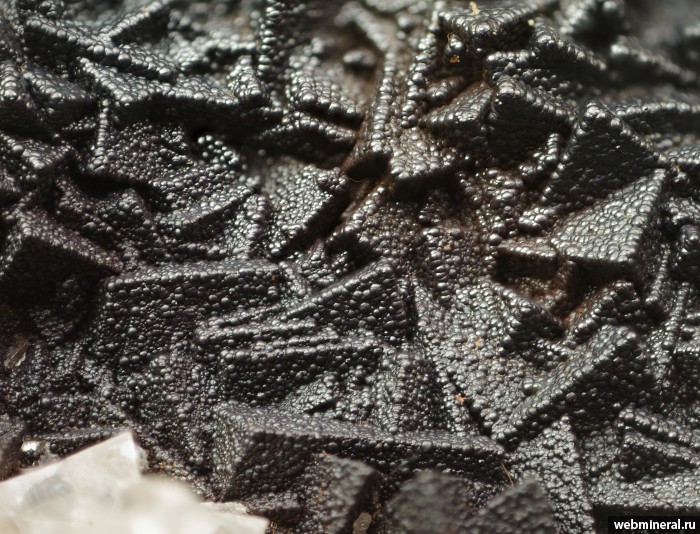 ���������� �������� ø���. ���������� ������ �������������.