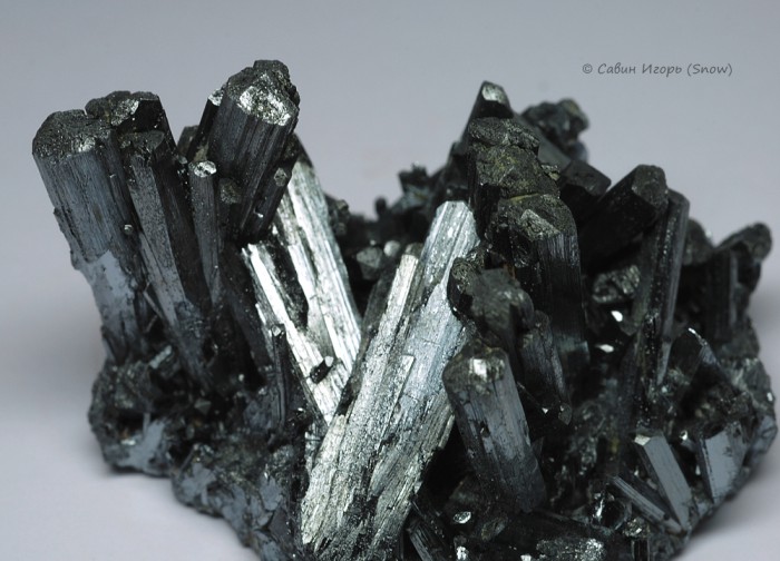 ���������� �������� ���������. Wuning, Jiangxi, China (�����).