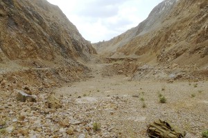 ������� �������������