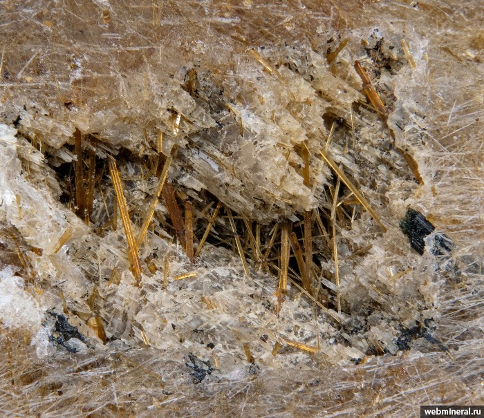 ���������� �������� �����������, ��������. ���� � 50.