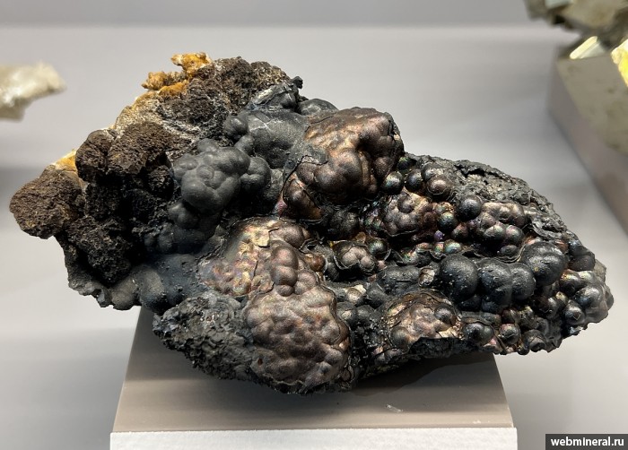 ���������� �������� ø���, �������. ���������� (Au) ������������� (������ ����).