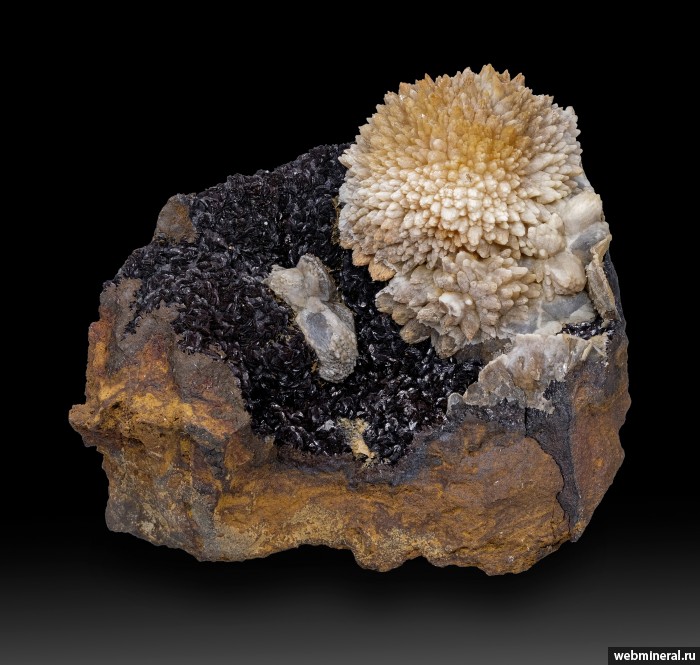 ���������� �������� �������, �������. �������� �����-2.