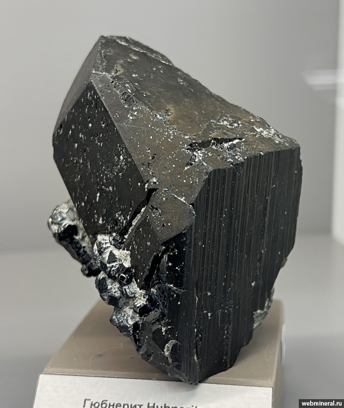 ���������� �������� ��������. ������� (W-Mo) �������������.