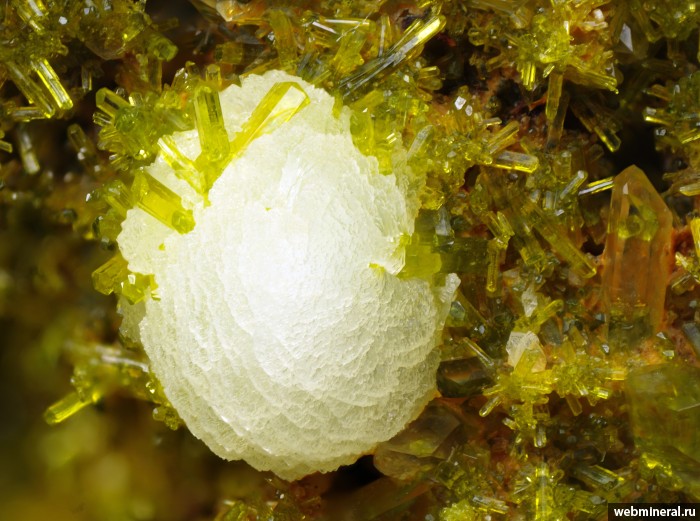 ���������� �������� ������, ������. ��-��� ����.