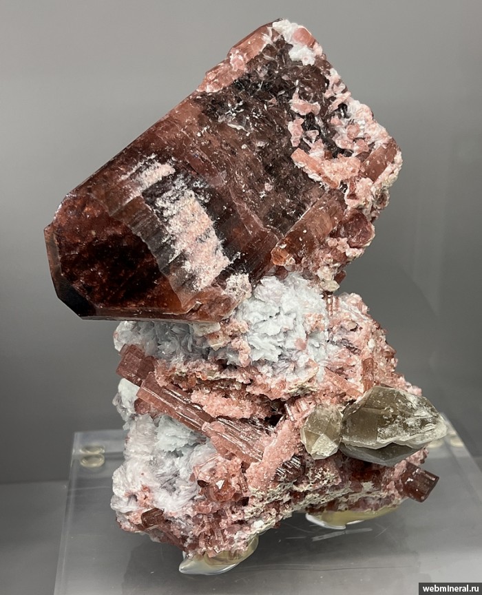 ���������� �������� �������, �����, ������. ������� ����.