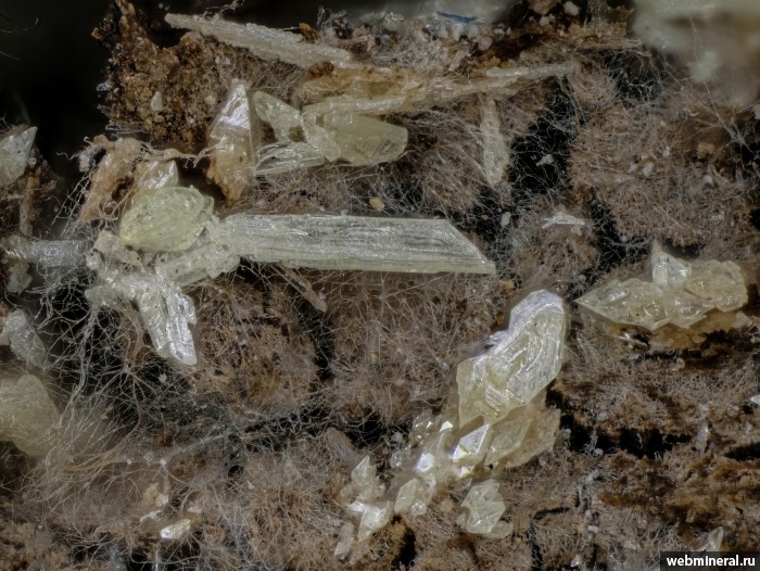 ���������� �������� ����, ����. �����-���������� �������������.