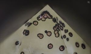 , .  .   . webmineral.ru