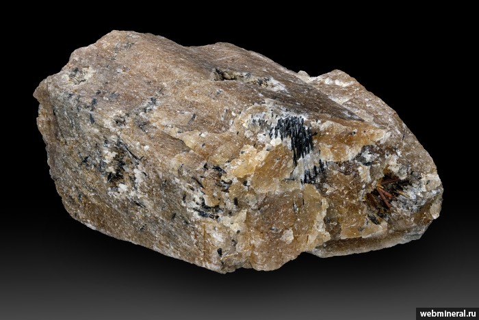 ���������� �������� �����������, ��������. ���� � 50.