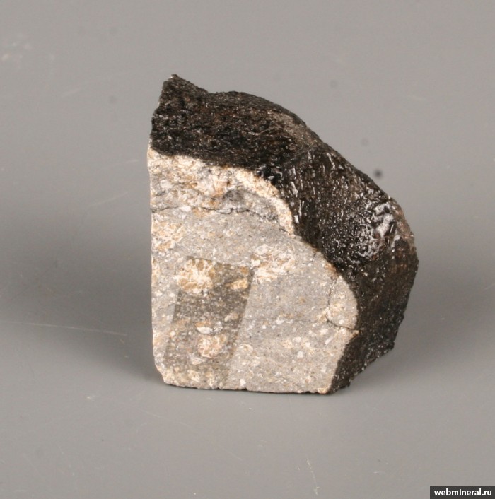 Фотография минерала Метеорит. Ветлуга метеорит.