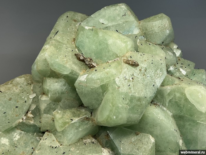 ���������� �������� �������. ��� ������.