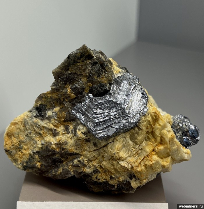 ���������� �������� ����������. ���������� (�����������) �������������.