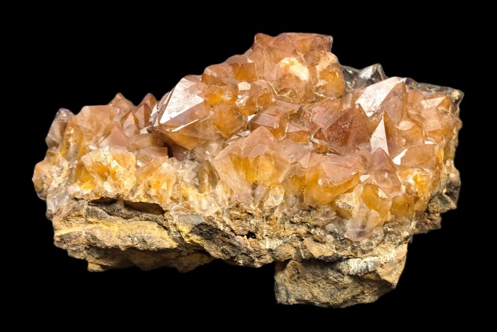 ���������� �������� �����, ø���. �������� �����.