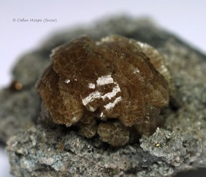 ���������. ����������� ������. �������� � �������������. webmineral.ru