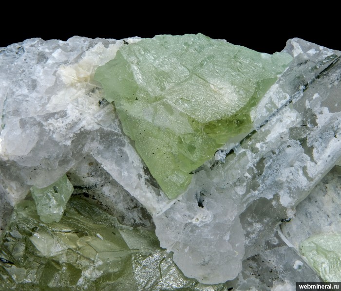 ���������� �������� ��������. ��� ��������.