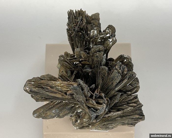 ���������� �������� ø���. ����� � 2.