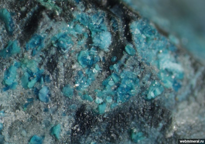 Фотография минерала Познякит, Серпиерит, Линарит, Малахит. Белореченское месторождение.