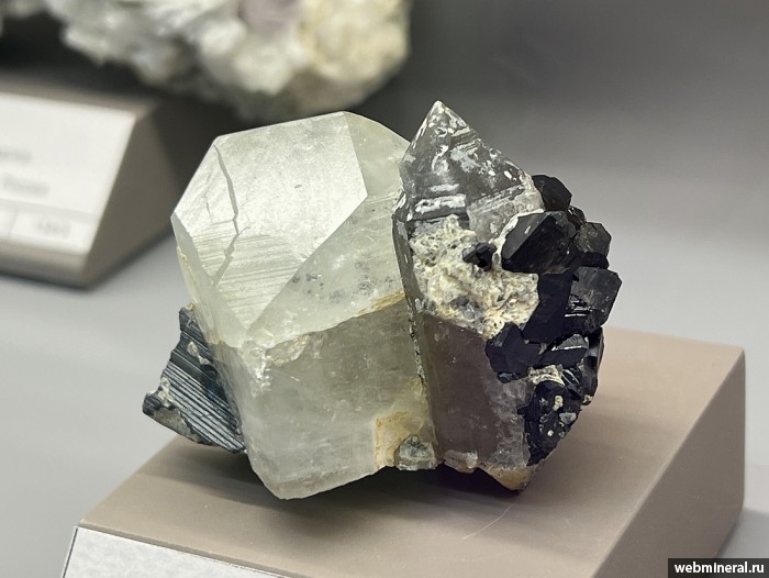 ���������� �������� �����, �����, ����������, ����������. ������� (W-Sn) �������������.