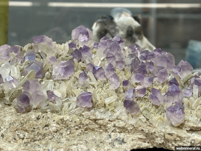 ���������� �������� ����� ����. (�������). ������ �������������.