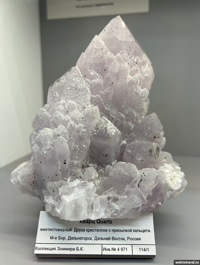 ���������� �������� �����. ��� ������.