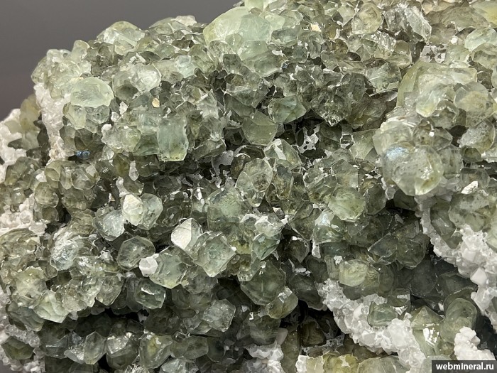 ���������� �������� �������, �������. ��� ������.