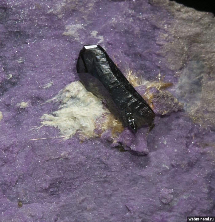 ���������� �������� ������, �����, ������. ������� ����������� (Cr) �������������.