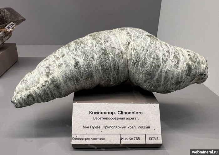 ���������� �������� ���������. ����� �������������.