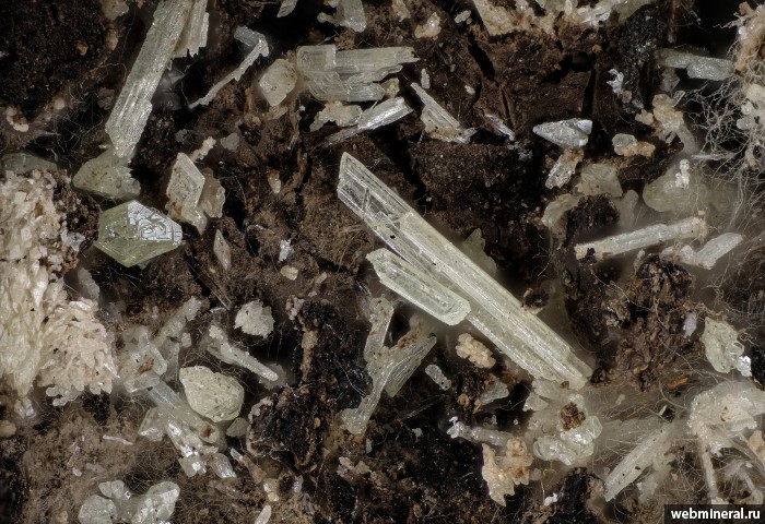 ���������� �������� ����, ����. �����-���������� �������������.