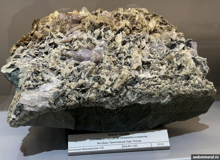 ���������� �������� ����������, �������, ������. ���� �������������.