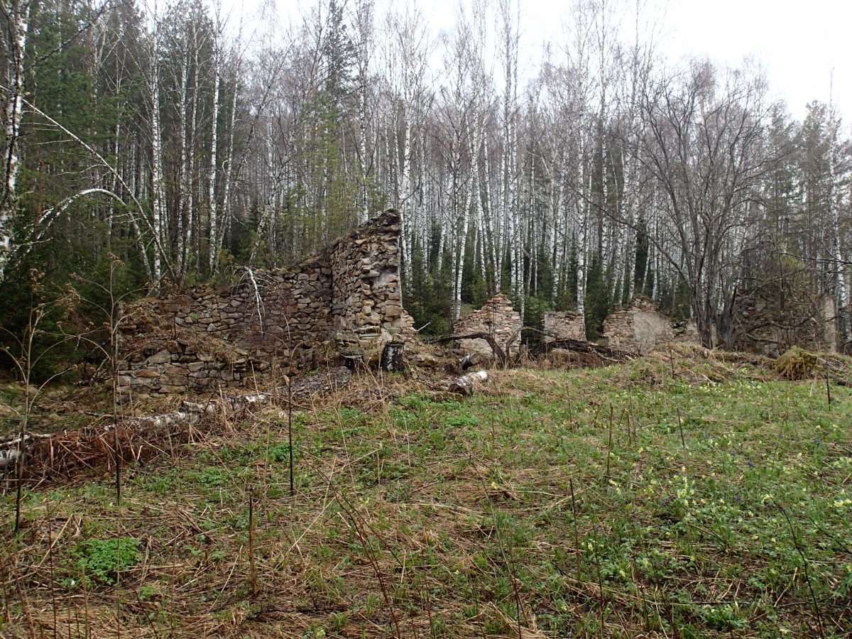 Развалины обогатительной фабрики . Фотография месторождения. Мульчихинское (Mo-W) месторождение, Западная Сибирь, Россия.