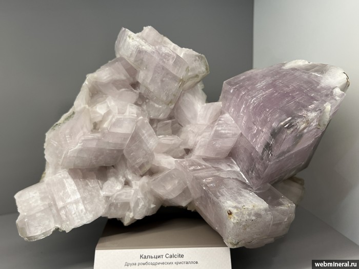 ���������� �������� �������. ���� �������������.