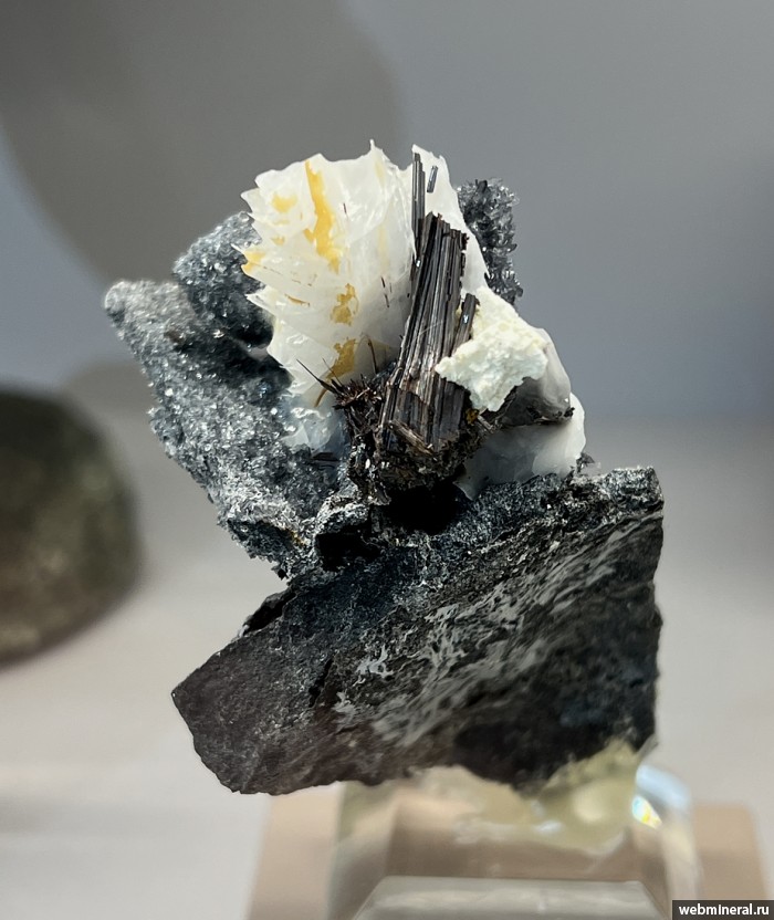 ���������� �������� �����, �������. ������� ����������� (Cr) �������������.