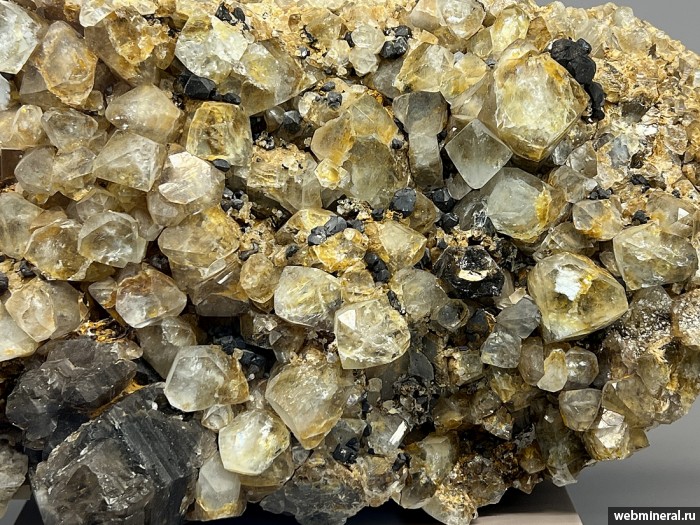 ���������� �������� �����, ����������, �����. ������� (W-Sn) �������������.