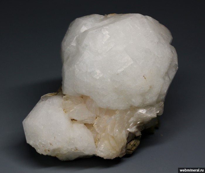 ���������� �������� ��������, ���������. ����� ����.