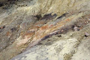 ����������� ������������� (�����)