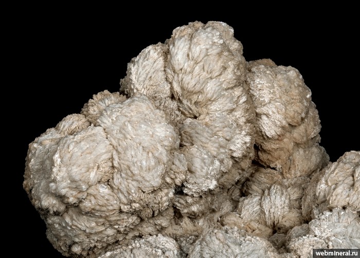 ���������� �������� �����. ������ ����������.