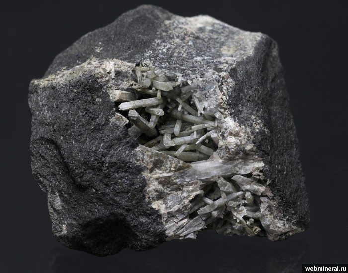 ���������� �������� �������. ���������� �������������.